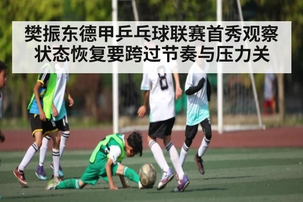 樊振东德甲乒乓球联赛首秀观察 状态恢复要跨过节奏与压力关